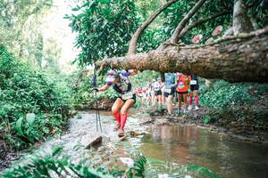 BIB: 
                            <button type="button" onclick="openModal(25516162)" class="btn btn-primary btn-sm float-right btn-popup" data-toggle="modal" data-target=".modal-high-quality">
                        <i class="fas fa-shopping-cart"></i> Add to Cart
                    </button>
                                            <button type="button" onclick="isThisMe(25516162, true)" class="btn btn-success btn-sm float-right btn-popup btn-isme hidden" data-toggle="tooltip" data-placement="bottom" title="นี่คือรูปของคุณใช่ไหม คลิกที่นี่เพื่อเอาเข้าอัลบั้ม">
                        <i class="fas fa-plus"></i> Add to album
                    </button>
                    <button type="button" onclick="isThisMe(25516162, false)" class="btn btn-warning btn-sm float-right btn-popup btn-isnotme hidden">
                        <i class="fas fa-ban"></i> Remove from album
                    </button>